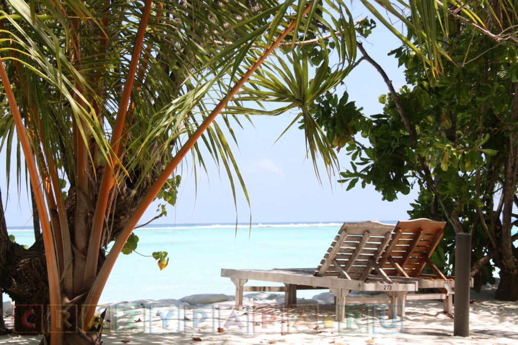 Лежаки у пляжа на Мальдивах